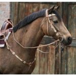 Hiboni Poprsník westernový hnědý – Zboží Dáma