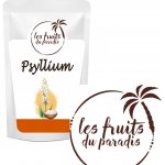 Les fruits du paradise Psyllium Husk Indie 500 g – Hledejceny.cz