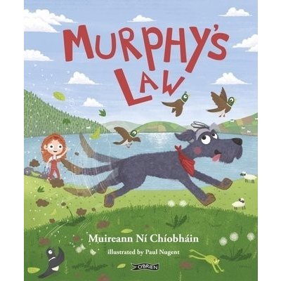 Murphy's Law