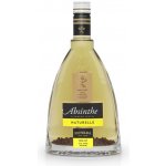 Metelka Absinthe Naturelle 60% 0,5 l (holá láhev) – Zboží Mobilmania