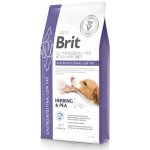 Brit Veterinary Diet Dog Grain Free Gastrointestinal Low Fat 12 kg – Hledejceny.cz