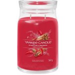 Yankee Candle Signature Sparkling Cinnamon 567 g – Zboží Mobilmania