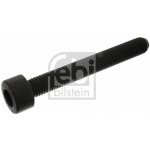 Šroub, stojan ložiska-kliková hřídel FEBI BILSTEIN 18164 – Zboží Mobilmania