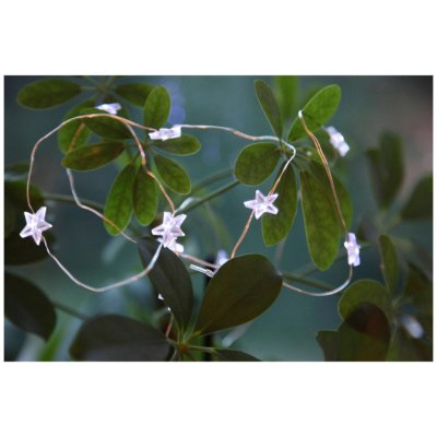 EGLO Světelný řetěz DEW DROP 411069 – Hledejceny.cz