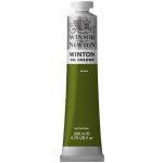 Olejová barva Winsor & Newton Winton 200 ml Sap Green – Hledejceny.cz