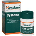 Himalaya Cystone 100 tablet – Zbozi.Blesk.cz