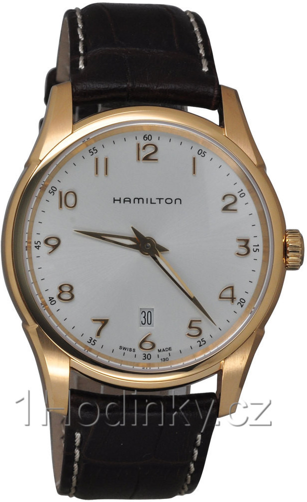 Hamilton H38541513