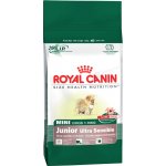 Royal Canin Mini Sensible 2,5 kg – Hledejceny.cz