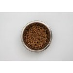 Virbac Veterinary HPM Adult Dog Gastro Digestive Support G1 12 kg – Hledejceny.cz