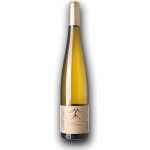 Natural Domin & Kušický Pinot Gris 2021 BIO 13,5% 0,75 l (holá láhev) – Hledejceny.cz