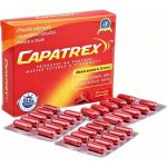 Capatrex 30 tablet – Hledejceny.cz