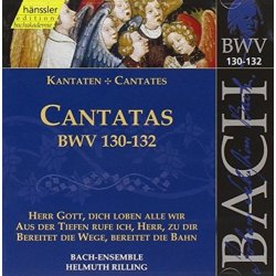 Bach - Ensemble - Helmuth Rilling - Bach - Cantatas Vol. 41