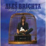 Brichta Aleš - Růže pro Algernon (Remastered 2026) 2 LP – Hledejceny.cz