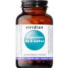 Vitamín a minerál Viridian Nutrition Viridian Magnesium B6 & Saffron, 60 kapslí Varianta: Magnesium B6 and Saffron 60 kapslí (Hořčík, vitamín B6 a šafrán)