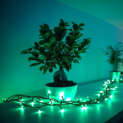 twinkly Třpytivá pohádková světla RGB černá 250 světel 20 m TWS250STP-BEU – Hledejceny.cz