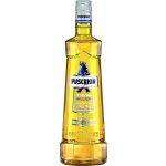 Puschkin Time Warp 17,7% 1 l (holá láhev) – Zboží Mobilmania