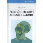 Feneisův obrazový slovník anatomie - 9. vyd - Wolfgang Dauber – Hledejceny.cz