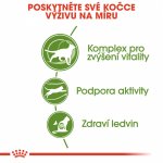 Royal Canin Outdoor 7+ 10 kg – Hledejceny.cz