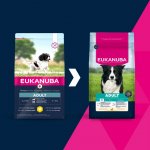 Eukanuba Adult Medium Breed 15 kg – Hledejceny.cz