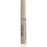 Embryolisse Artist Secret posilující sérum na řasy a obočí 6,5 ml – Hledejceny.cz