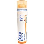 CALCAREA FLUORICA POR 15CH GRA 1X4G – Hledejceny.cz
