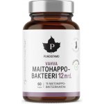 Puhdistamo Strong Lactic Acid Bacteria 60 kapslí – Hledejceny.cz