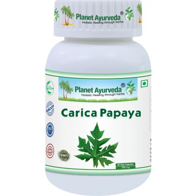 Planet Ayurveda Carica Papaya 60 kapslí – Hledejceny.cz