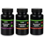 Karel Nikl Barvivo hnědé 20 g – Zbozi.Blesk.cz