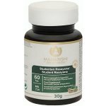 Maharishi Ayurveda Student Rasayana 60 tablet – Hledejceny.cz