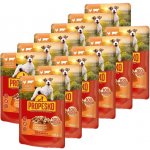 Propesko Dog kuřecí-hovězí v omáčce 12 x 100 g – Sleviste.cz