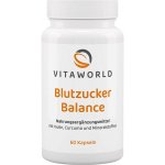Vitaworld Blood Sugar Balance 60 kapslí – Hledejceny.cz