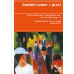 Sociální práce v praxi – Hledejceny.cz