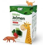 Green Ways Dětský ječmen jahoda 240 g – Hledejceny.cz