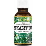 Saloos esenciální olej Eukalyptus Austrálie 20 ml – Hledejceny.cz