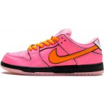 Nike SB Dunk Low The Powerpuff Girls Blossom FD2631-600 – Hledejceny.cz