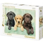 Clementoni Tři labradoři HQC 1000 dílků – Zboží Dáma