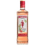 Beefeater Grapefruit 37,5% 0,7 l (holá láhev) – Sleviste.cz