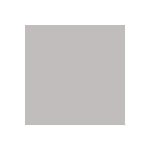 NehtyShop Polycolor akrylová barva stříbro 20 ml – Zbozi.Blesk.cz