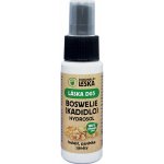 Dokonalá Láska D05 hydrosol Boswelie 50 ml – Hledejceny.cz