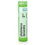 PHYTOLACCA DECANDRA POR 5CH GRA 4G – Hledejceny.cz