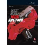 Don Giovanni: Gran Teatre Del Liceu DVD – Zboží Mobilmania