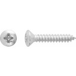 Vrut do plechu s čočkovou hlavou PH2 plný závit pozinkovaná ocel 4,2x19 mm, 12ks – Hledejceny.cz