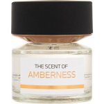 BMW Fragrances The Scent of Amberness parfémovaná voda unisex 50 ml – Hledejceny.cz