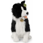 Eco Friendly Rappa pes border kolie 40 cm – Zboží Mobilmania