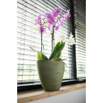 Ter Steege Váza široká Lydia shiny green D33x16 H25 – Hledejceny.cz