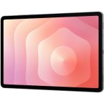 Samsung Galaxy Tab S11 Wi-Fi 12GB/512GB SM-X730NZATEUE – Zboží Živě