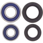 ALL BALLS ložiska předního kola s těsněními YAMAHA YFM 660R/700R RAPTOR 01-24, YFZ450 04-13, YFZ450R 09-24, YFZ450X 10-11, YFM 350 RAPTOR 04-13 - nahrazuje 25-1068 | Zboží Auto