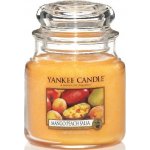 Yankee Candle Mango Peach Salsa 411 g – Sleviste.cz