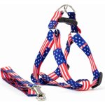 Vsepropejska Usual postroj pro psa s vodítkem – Zbozi.Blesk.cz