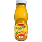 Terezia Company Rakytníček rakytník.nápoj broskev a med BIO 200 ml – Hledejceny.cz